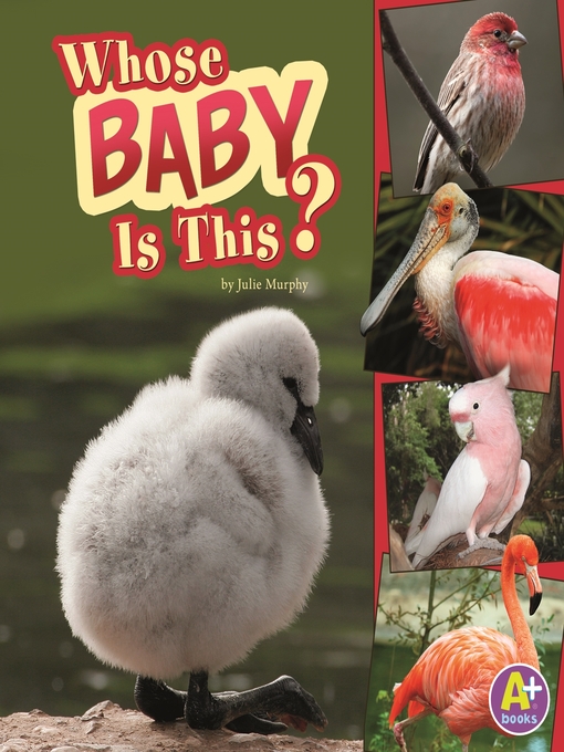 Title details for Whose Baby Is This? by Julie Murphy - Available
